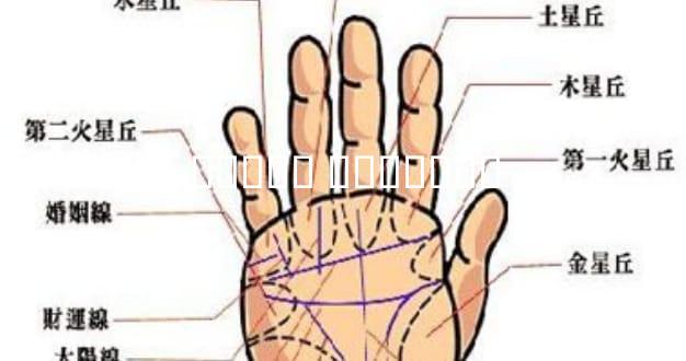 ����ѧ ����ѧ��